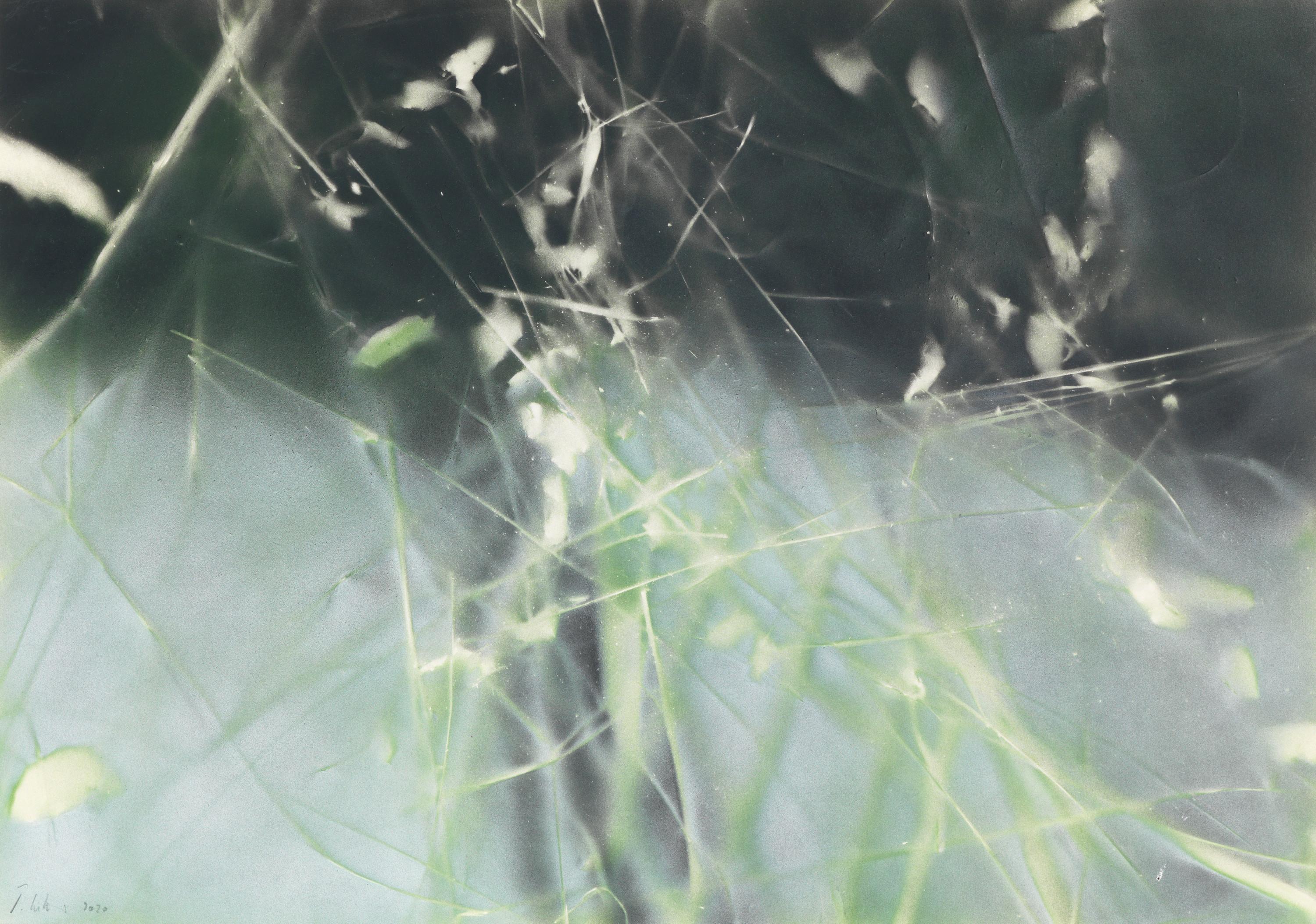 Wintersonne - Jakob Mattner Lea Gryze