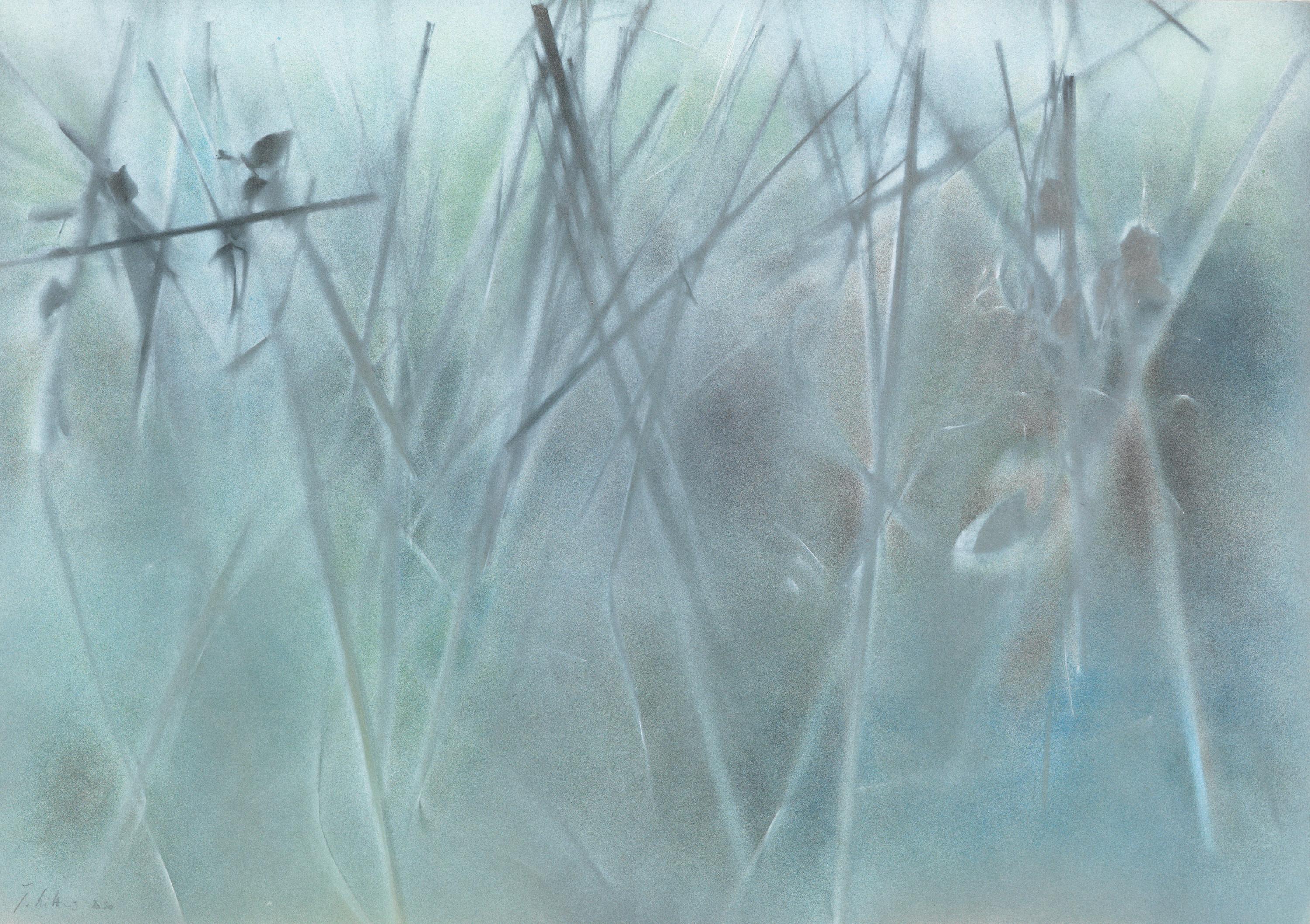 Winter 1955 III - Jakob Mattner Lea Gryze