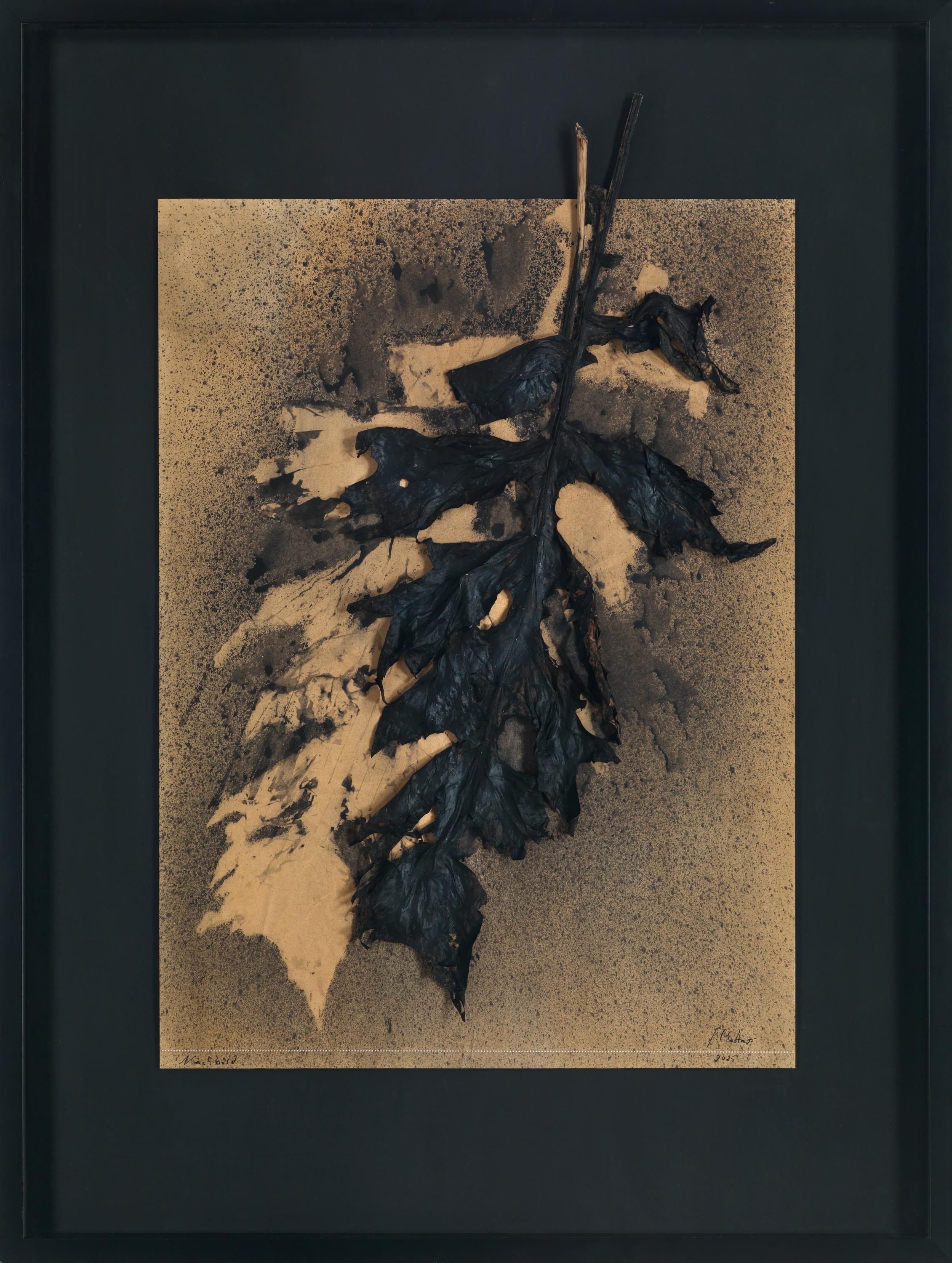 Nachbild - Jakob Mattner Lea Gryze